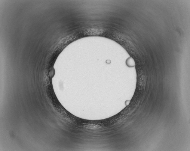 X0000110690743200907241104