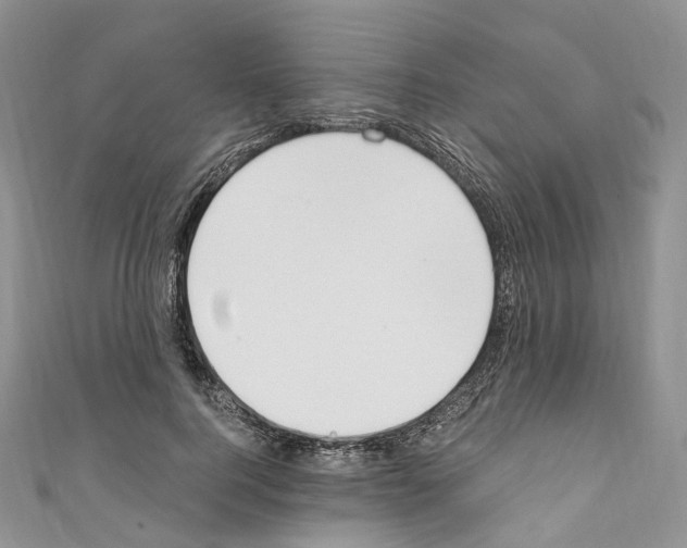 X0000110690744200907241104