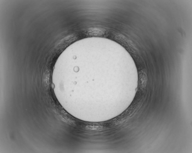 X0000110690745200907241104