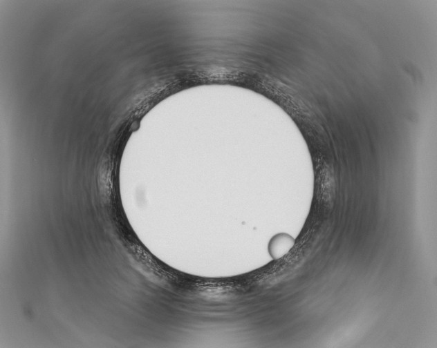 X0000110690746200907241104