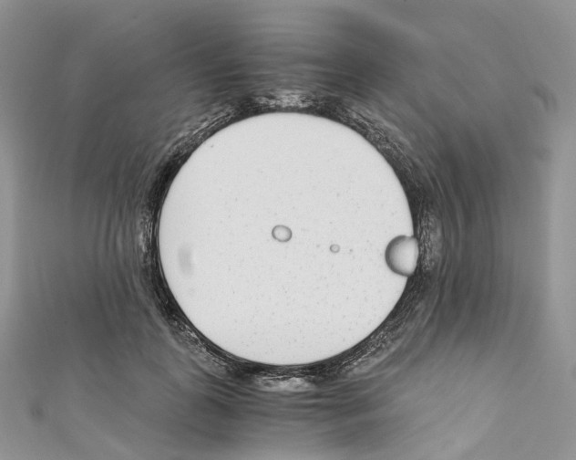 X0000110690747200907241104