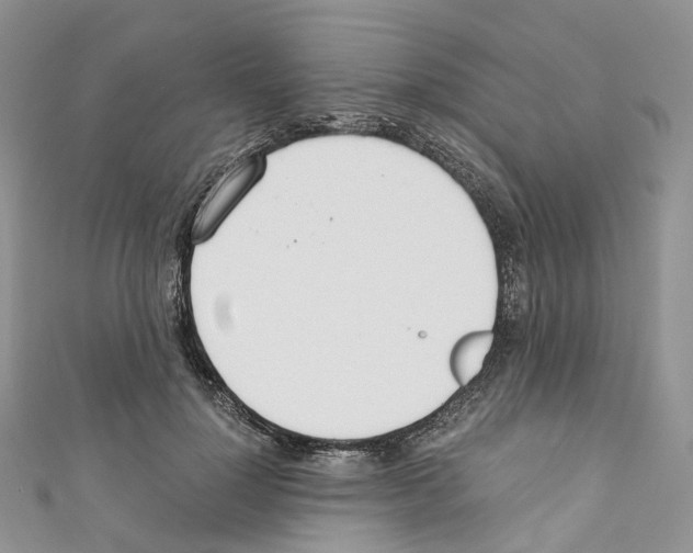 X0000110690748200907241104