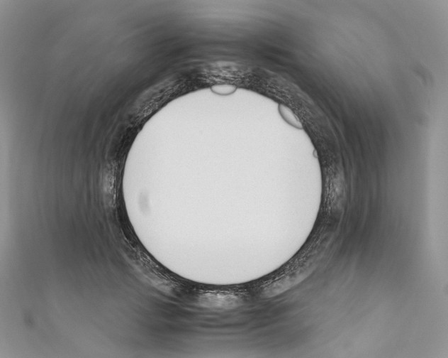 X0000110690749200907241104