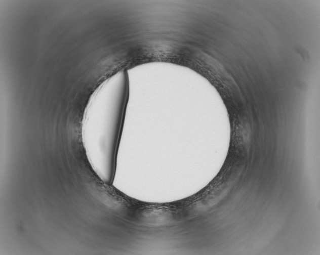 X0000110690750200907241104