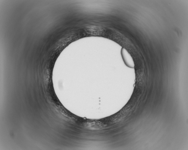 X0000110690752200907241104