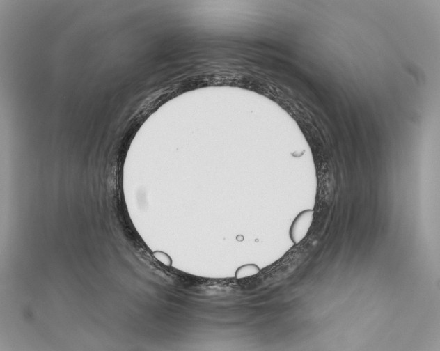 X0000110690756200907241104