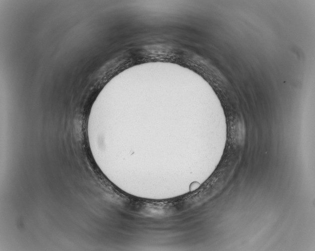 X0000110690757200907241104