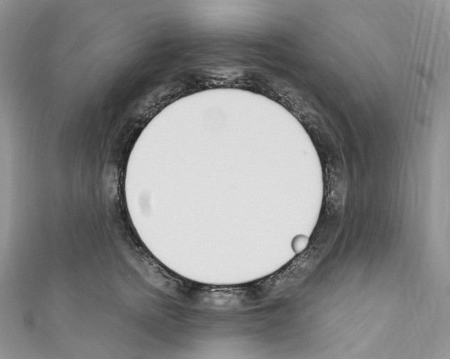 X0000110690758200907241104