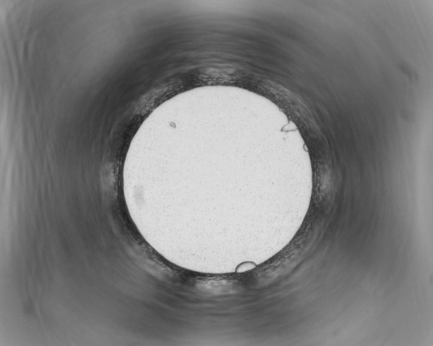 X0000110690759200907241104