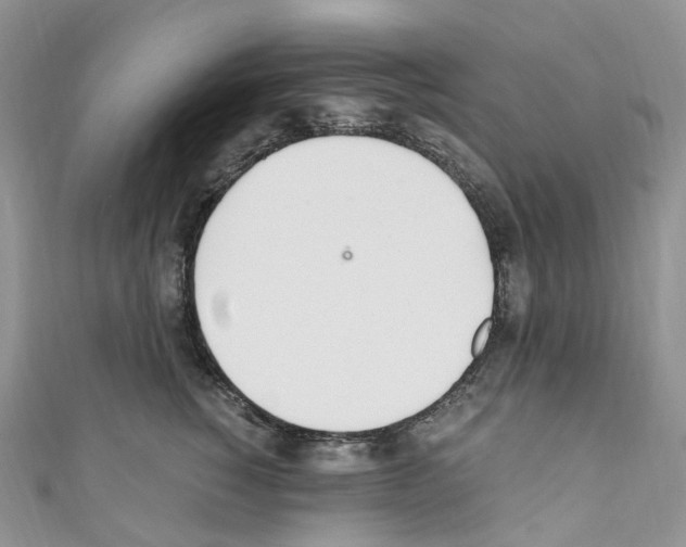 X0000110690760200907241104