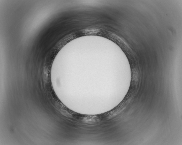 X0000110690761200907241104