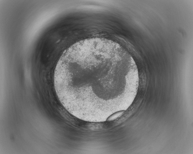 X0000110690762200907241104