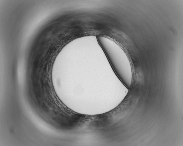 X0000110690764200907241104