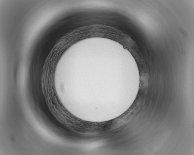 X0000110690765200907241104