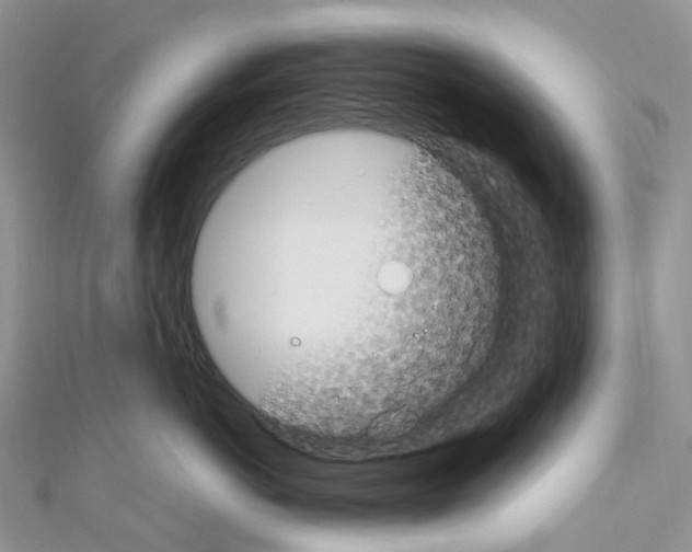 X0000110690766200907241104