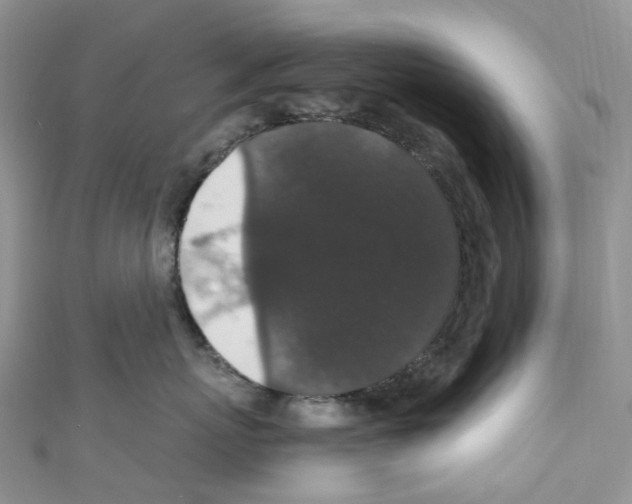 X0000110690767200907241104