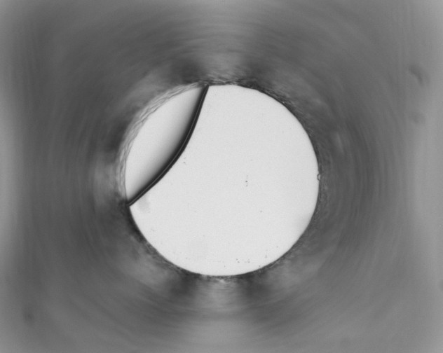 X0000110690768200907241104