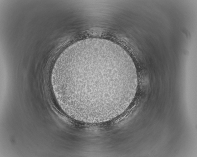 X0000110690769200907241104