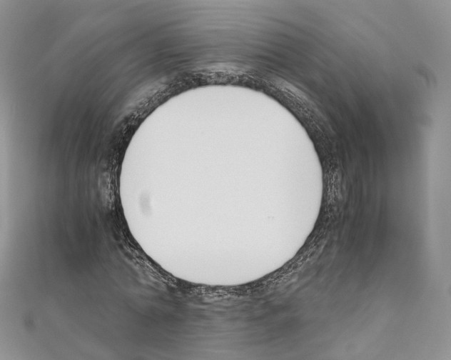 X0000110690774200907241103