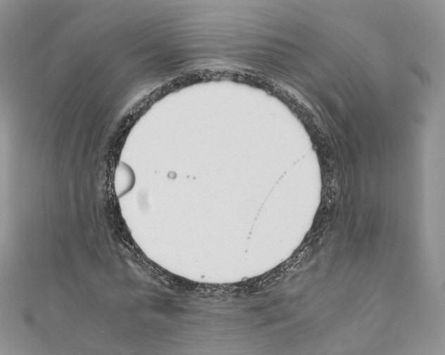 X0000110690775200907241103