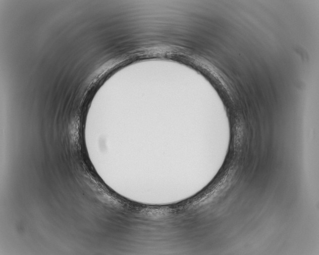 X0000110690778200907241103