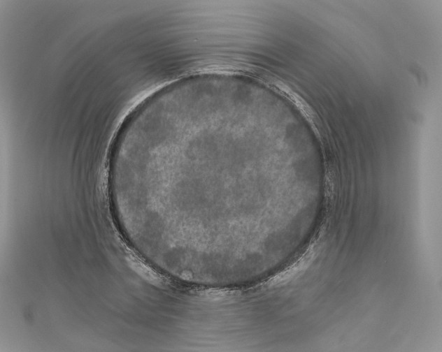 X0000110690779200907241103