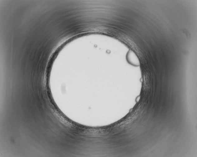 X0000110690780200907241103