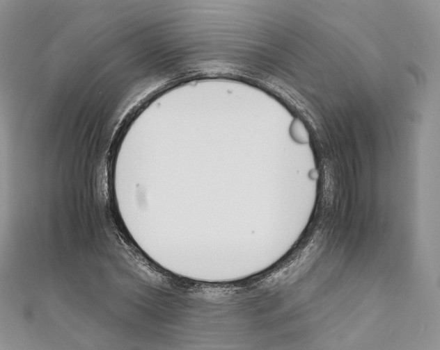 X0000110690782200907241103