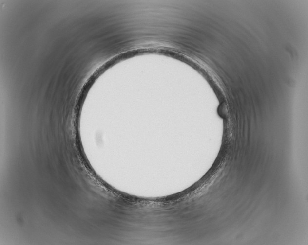 X0000110690783200907241103