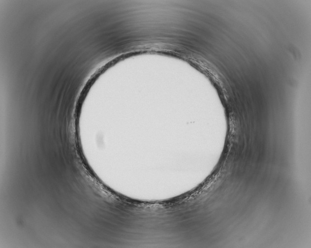 X0000110690784200907241103