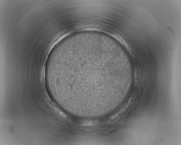 X0000110690790200907241103