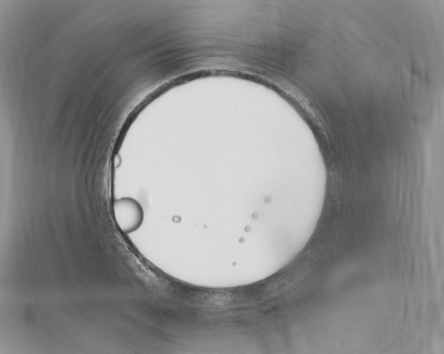 X0000110690791200907241103