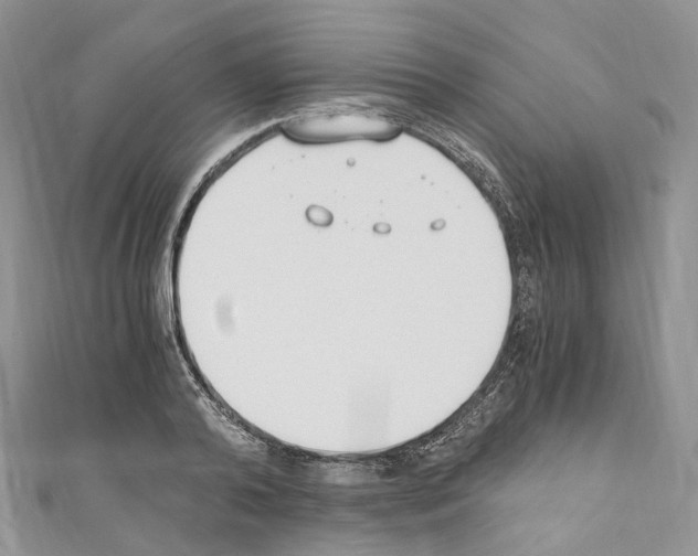 X0000110690792200907241103