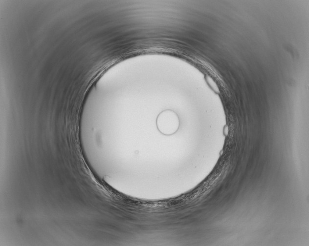 X0000110690793200907241103