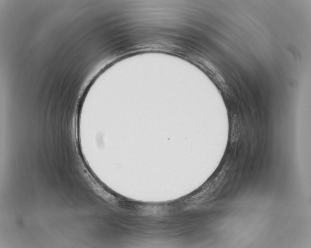 X0000110690796200907241103