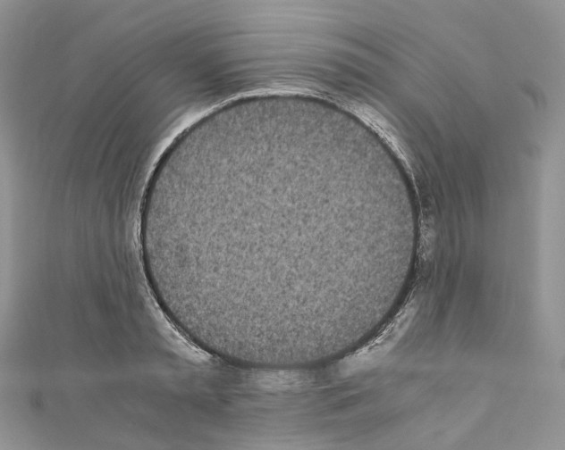 X0000110690797200907241103