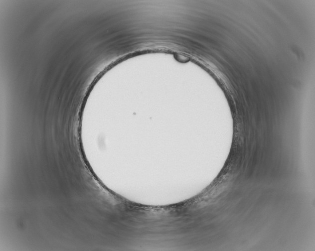 X0000110690799200907241103