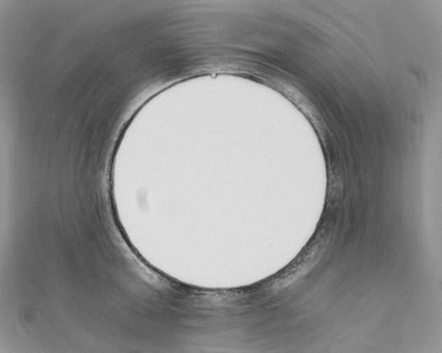 X0000110690803200907241103