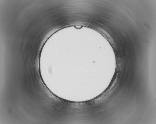 X0000110690804200907241103