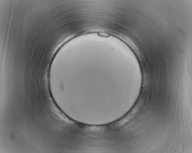 X0000110690806200907241103