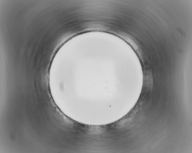 X0000110690807200907241103