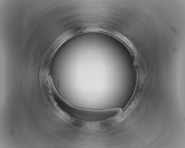 X0000110690809200907241103