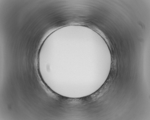 X0000110690811200907241103