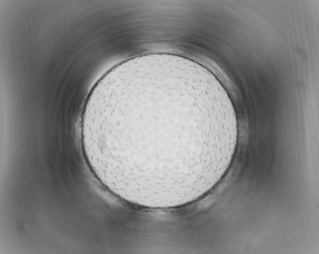 X0000110690814200907241103