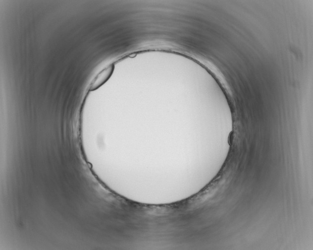 X0000110690815200907241103