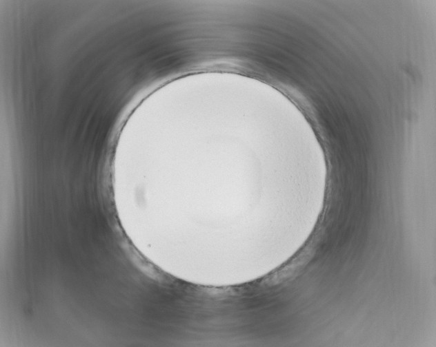 X0000110690816200907241103