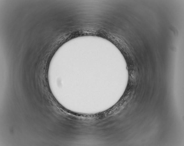 X0000110690817200907241102