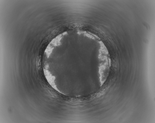 X0000110690818200907241102