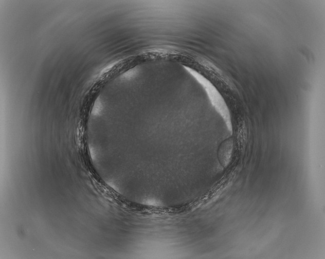 X0000110690822200907241102