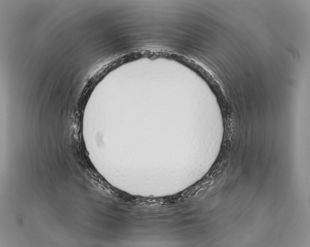 X0000110690823200907241102